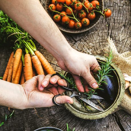 home_vegetables_contact1