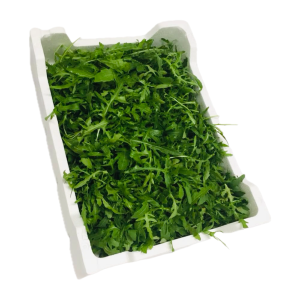 gemme dell orto - rucola